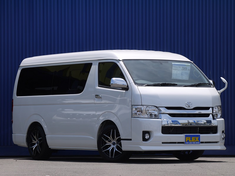 新品デルフィーノフロントリップスポイラー