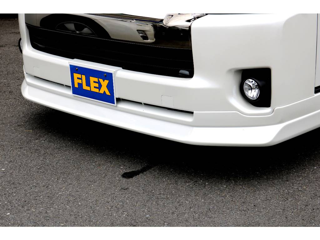ＦＬＥＸ　ＤｅｌｆｉｎｏＬｉｎｅスポイラー！