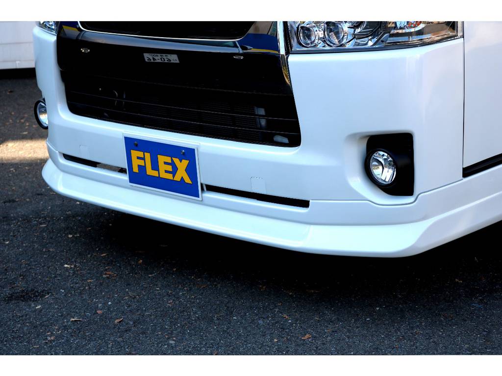ＦＬＥＸ　ＤｅｌｆｉｎｏＬｉｎｅスポイラー！