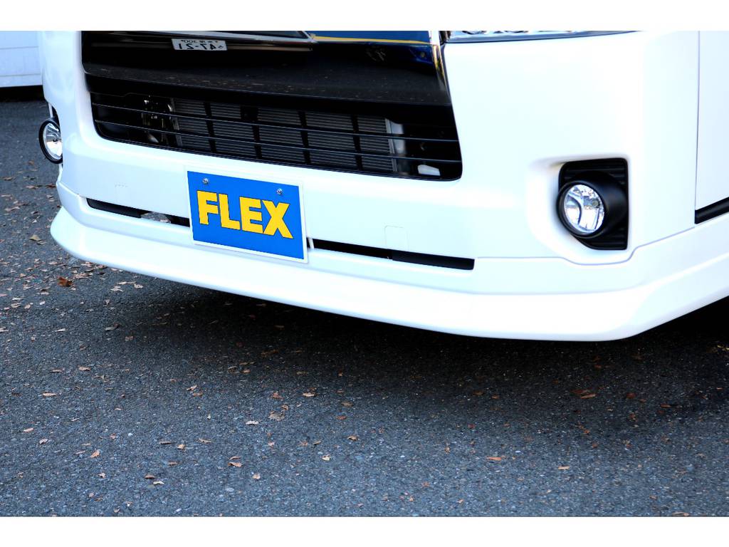 ＦＬＥＸ　ＤｅｌｆｉｎｏＬｉｎｅスポイラー！