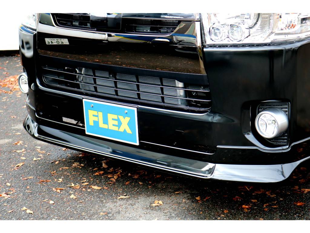 ＦＬＥＸ　ＤｅｌｆｉｎｏＬｉｎｅスポイラー！
