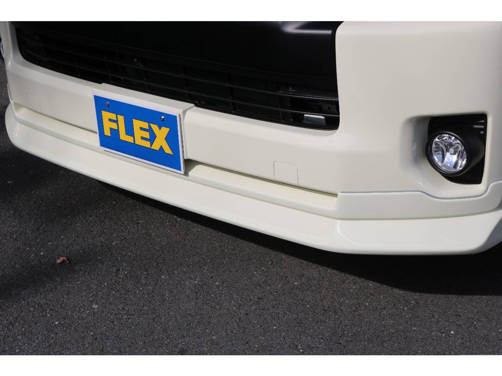 ＦＬＥＸ　Ｄｅｌｆｉｎｏ　Ｌｉｎｅスポイラー！