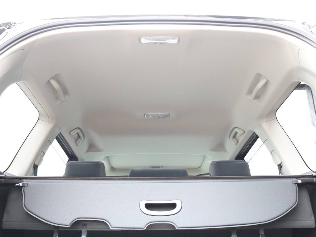 天井も高く室内空間は広く乗る人すべての人がくつろげます☆