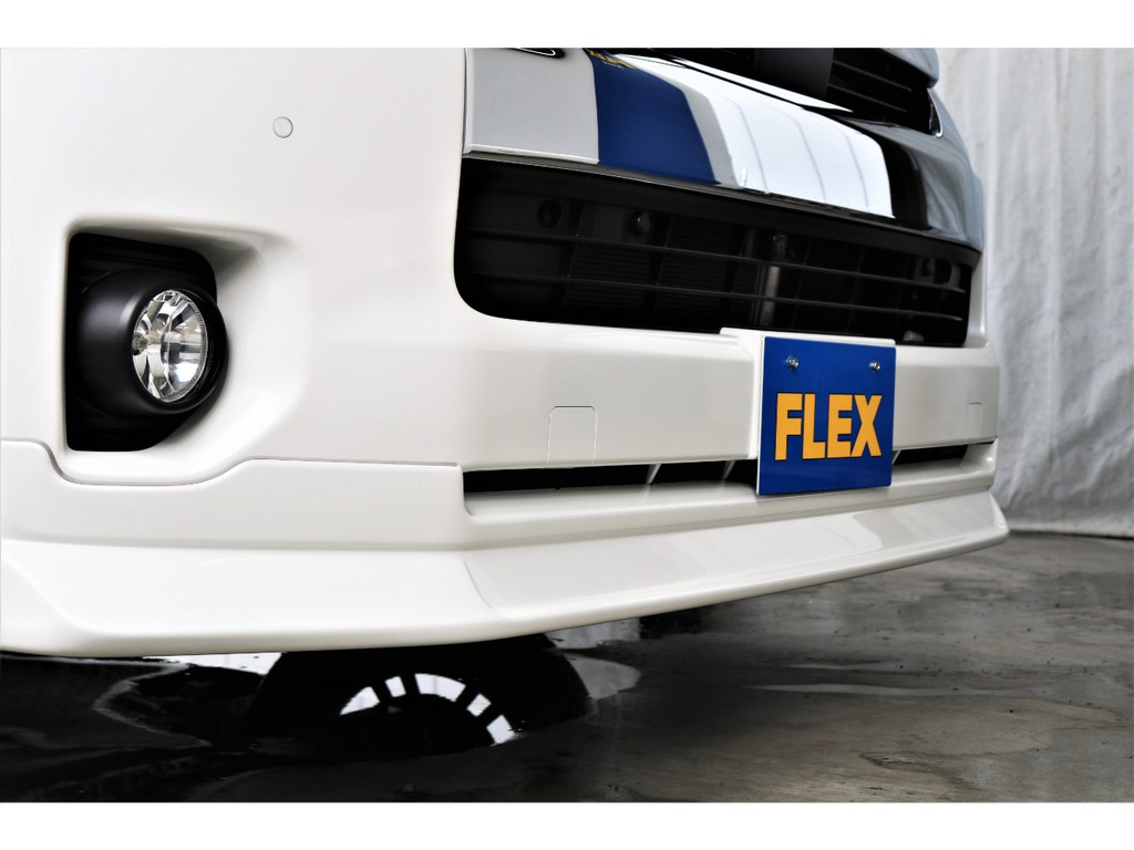 FLEXオリジナルDelfinoLineフロントリップを装備！