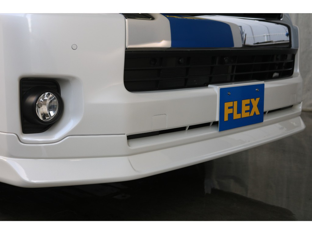 FLEXオリジナルDelfinoLineフロントリップスポイラーを装備！