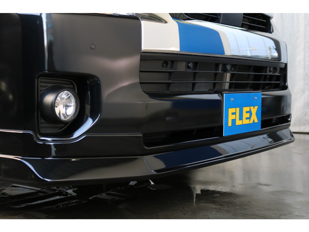 FLEXオリジナルデルフィーノラインフロントリップスポイラーを装備！