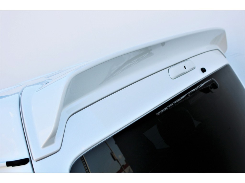 オリジナルＤｅｌｆｉｎｏＬｉｎｅリアスポイラーをチョイス！！引き締まったリアフェイス！