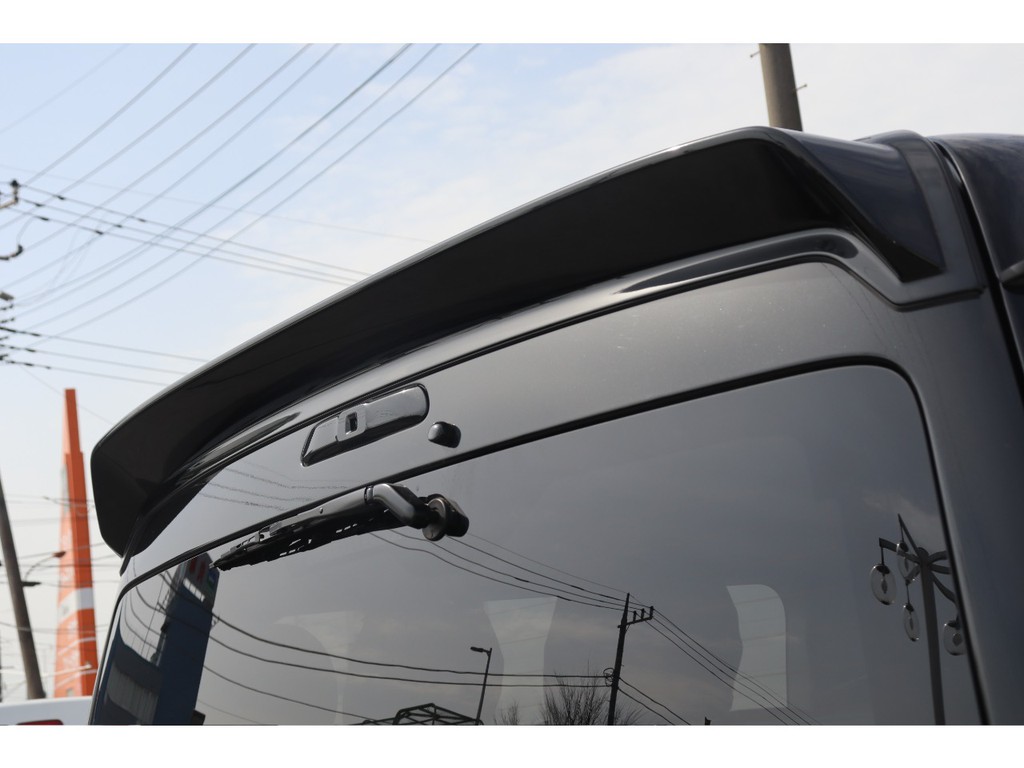 ＦＬＥＸオリジナルＤｅｌｆｉｎｏＬｉｎｅ　リアルーフスポイラー☆