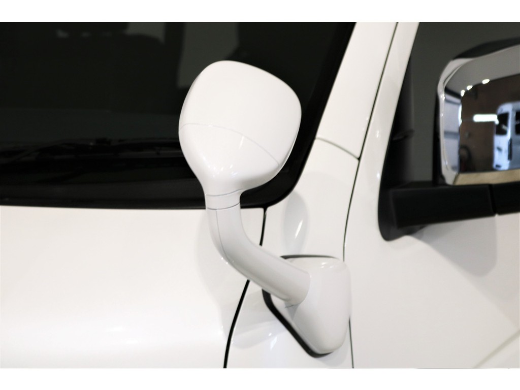 ガッツミラー同色塗装！