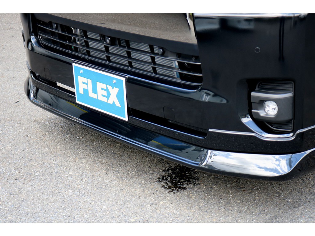 ＦＬＥＸ　Ｄｅｉｆｉｎｅｌｉｎｅスポイラー