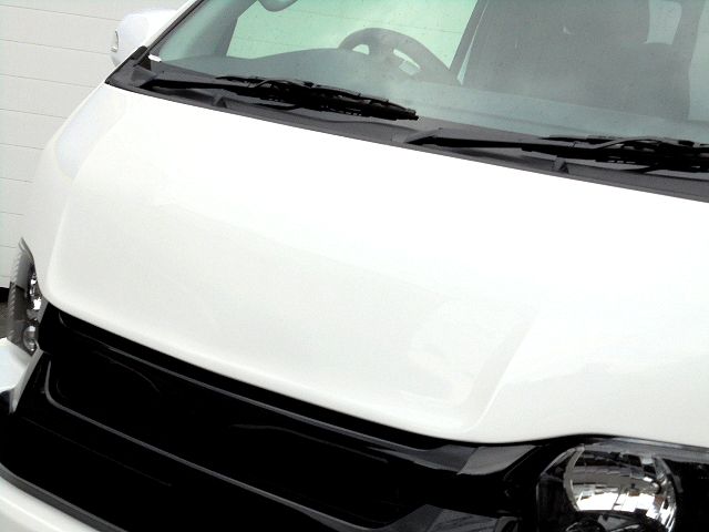 ＦＬＥＸ　ＤｅｌｆｉｎｏＬｉｎｅボンネット！