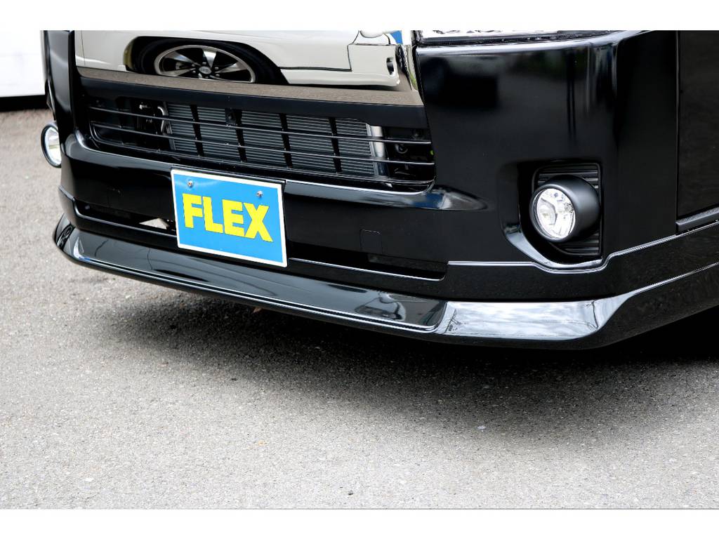 ＦＬＥＸ　ＤｅｌｆｉｎｏＬｉｎｅスポイラー！