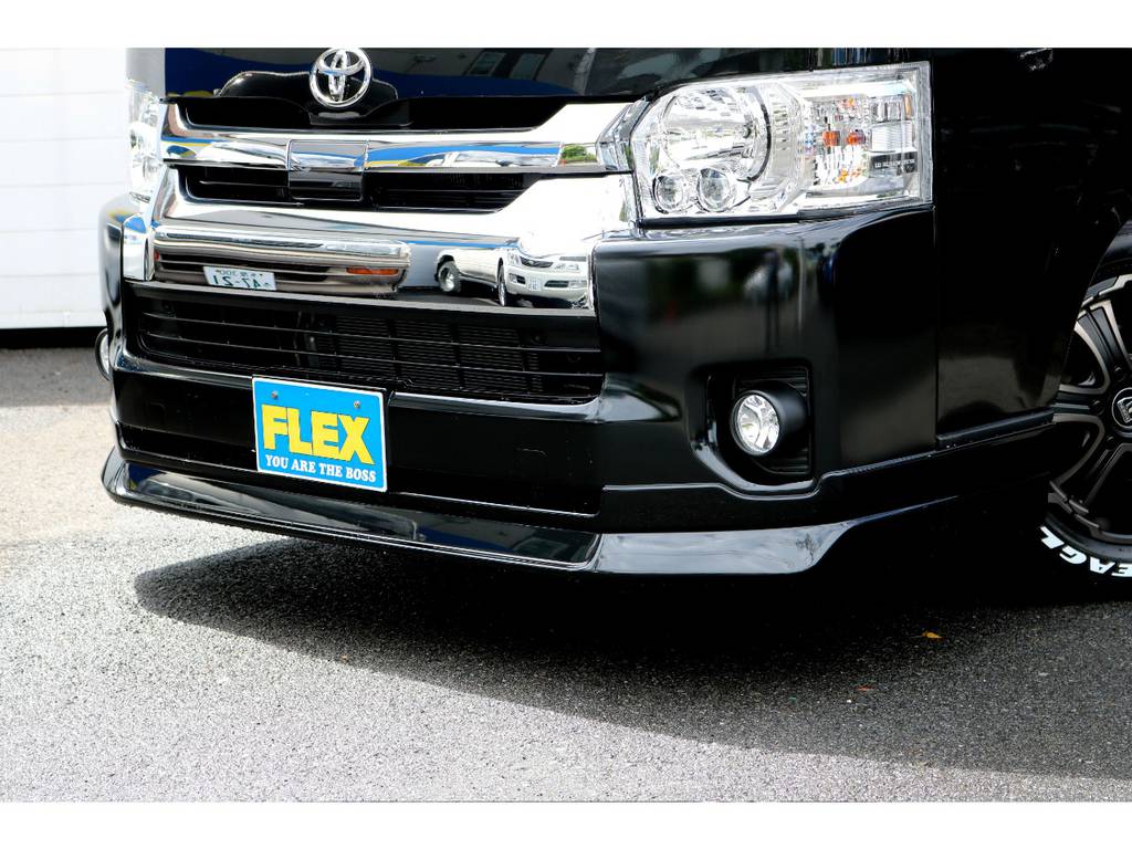 ＦＬＥＸ　ＤｅｌｆｉｎｏＬｉｎｅスポイラー！