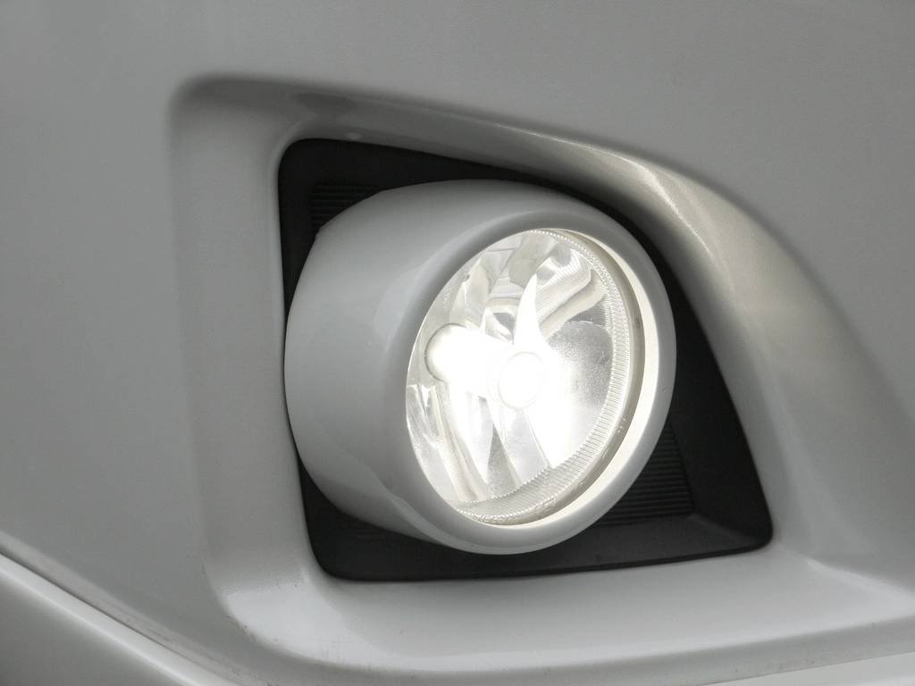 ＬＥＤフォグバルブ・フォグカバー同色塗装！細部にも拘ってカスタムしてます。