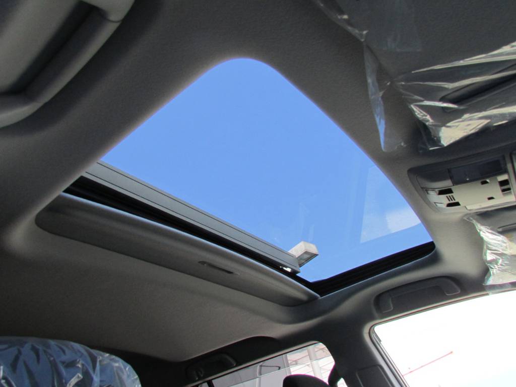 オプションのサンルーフも完備！