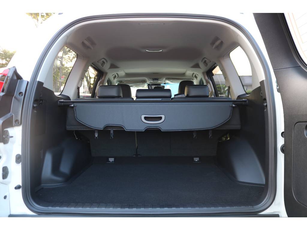 ５人乗りなのでラゲッジスペースを最大限に活用できます！