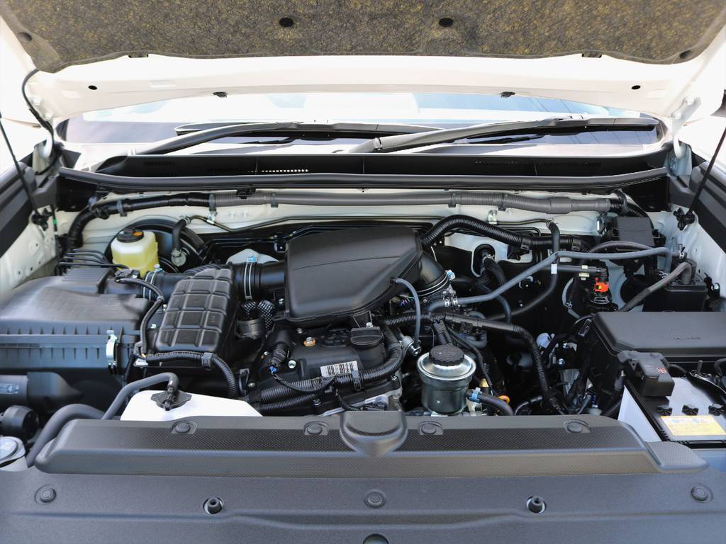 国内外で信頼の厚い２．７?ガソリンＥＧ！煩わしいタイミングベルト交換が不要なのはおろか、とにかくその頑丈さが世界中で認知されています。燃費やスムーズさなど軟な性能は、ランクルの本質に問われません。