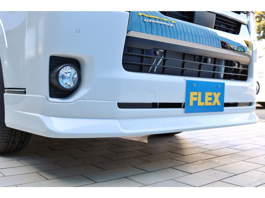 ＦＬＥＸオリジナルデルフィーノラインフロントリップスポイラー！