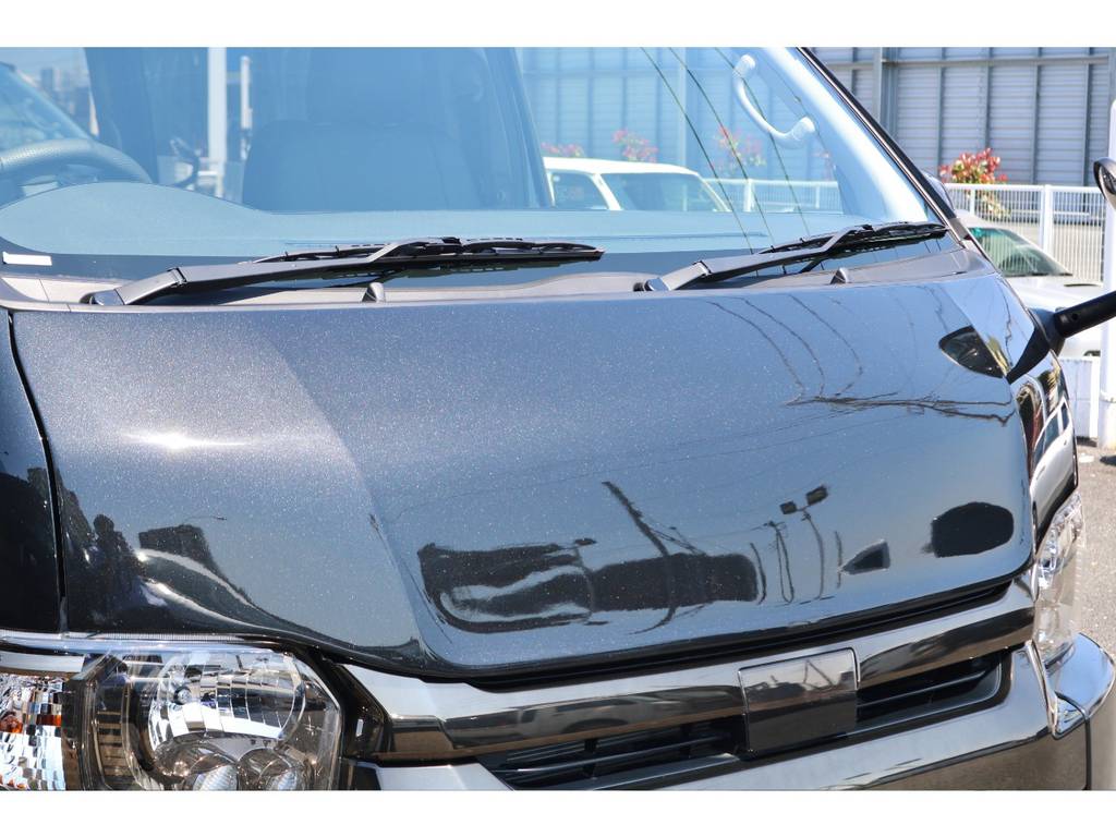 FLEX デルフィーノラインボンネット！