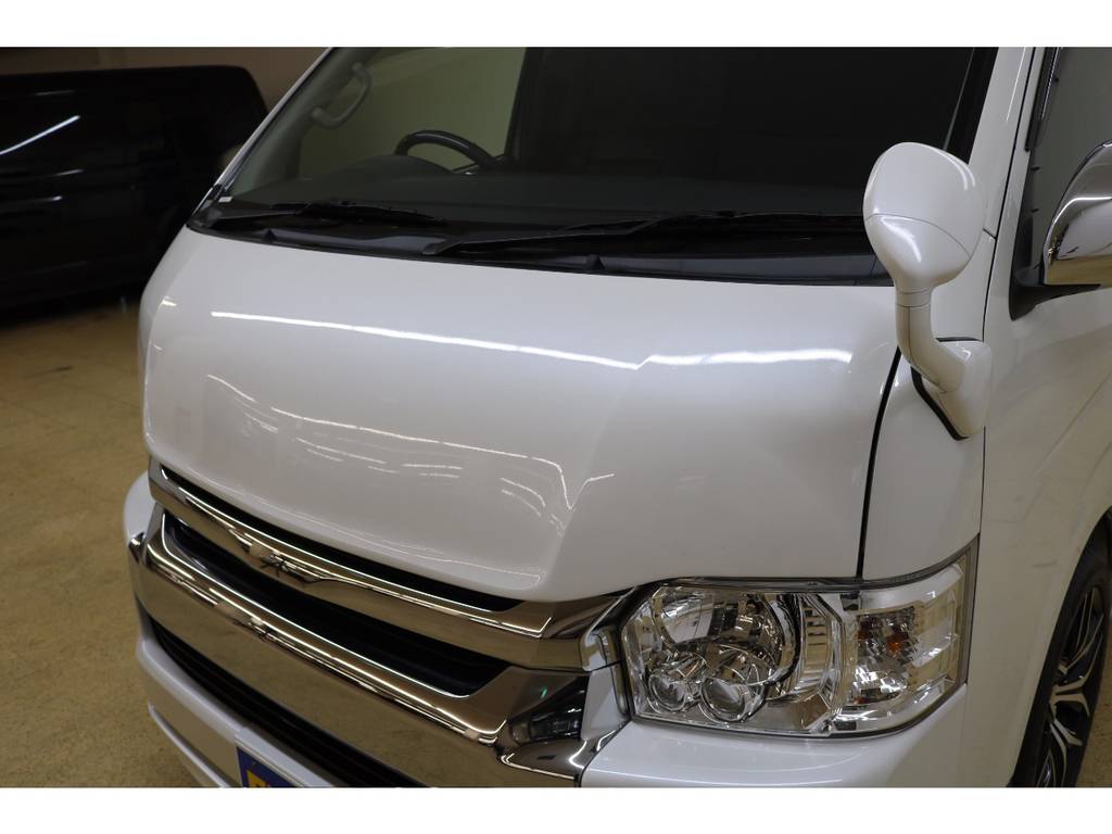 【FLEXオリジナル　Delfinoline　ボンネット】装着！！