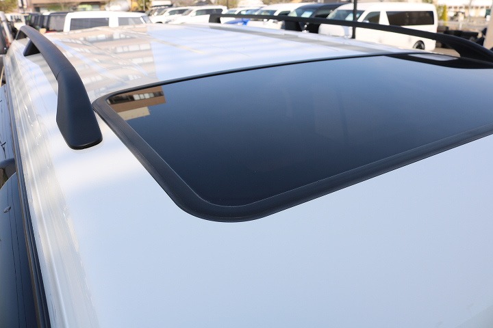 ルーフホワイトに塗り分け済み！