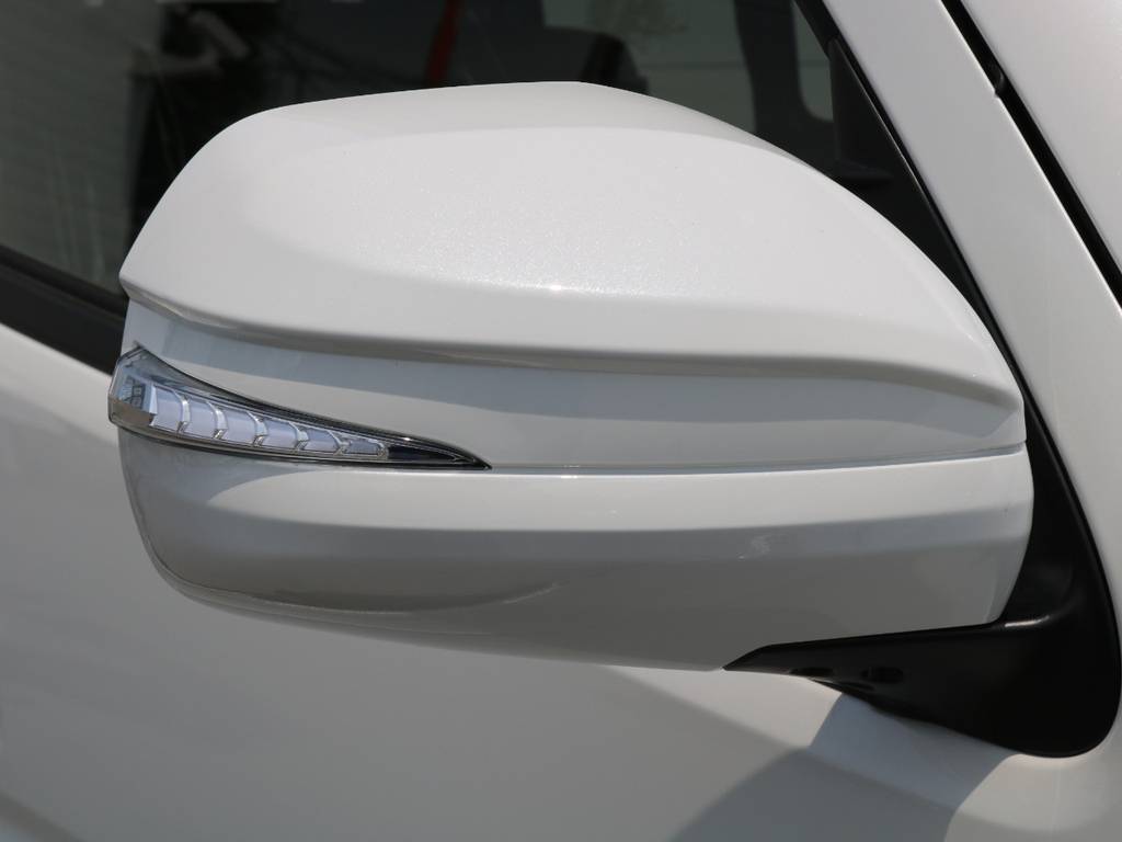 ＡＶＥＳＴ　ＬＥＤウィンカーミラーシューティングタイプ
