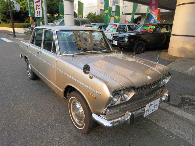 プリンセススカイライン1500 YY2562L_640.jpg