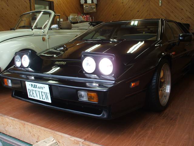 消費税増税対策!車両価格見直し改定しました!さらに!９月中に成約で消費税8％でやります!増税前のラストチャンス!お問い合わせください!