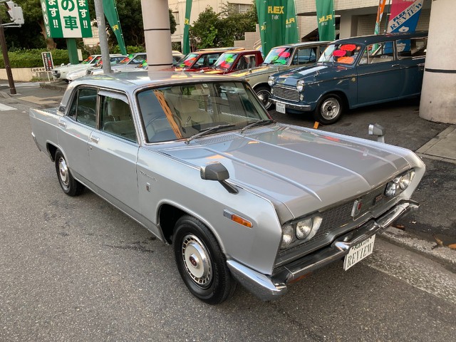 YY3157L_640.jpg