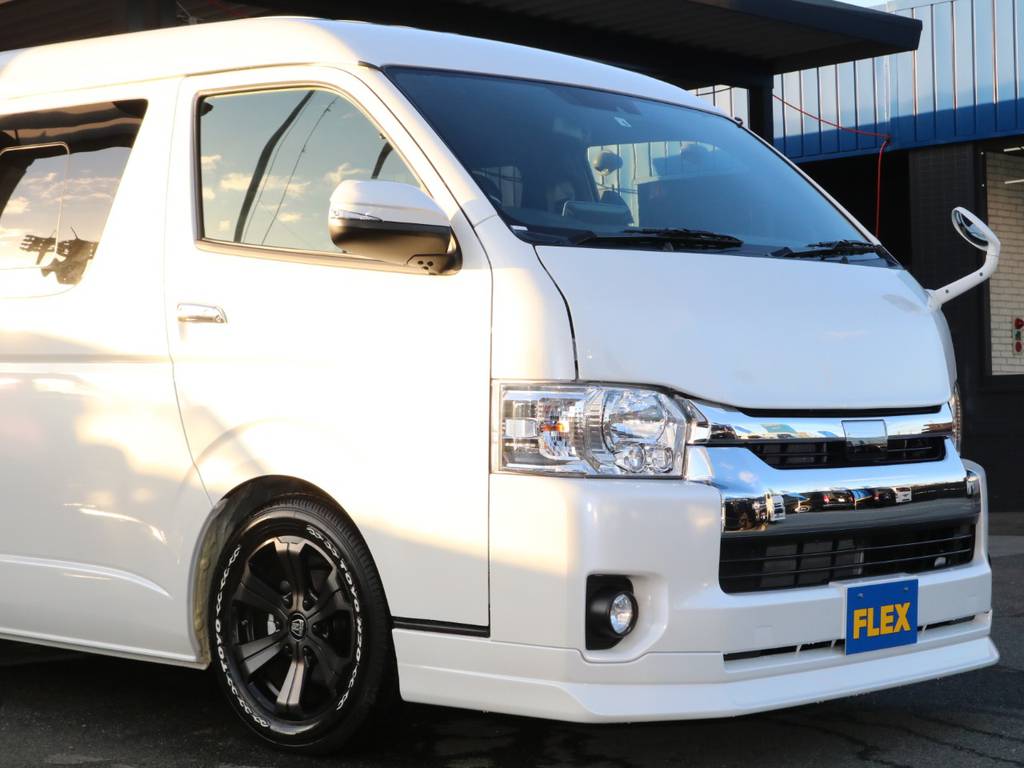 ＦＬＥＸ Ｄｅｌｆｉｎｏフロントスポイラー＆ＦＬＥＸ Ｄｅｌｆｉｎｏボンネット搭載♪